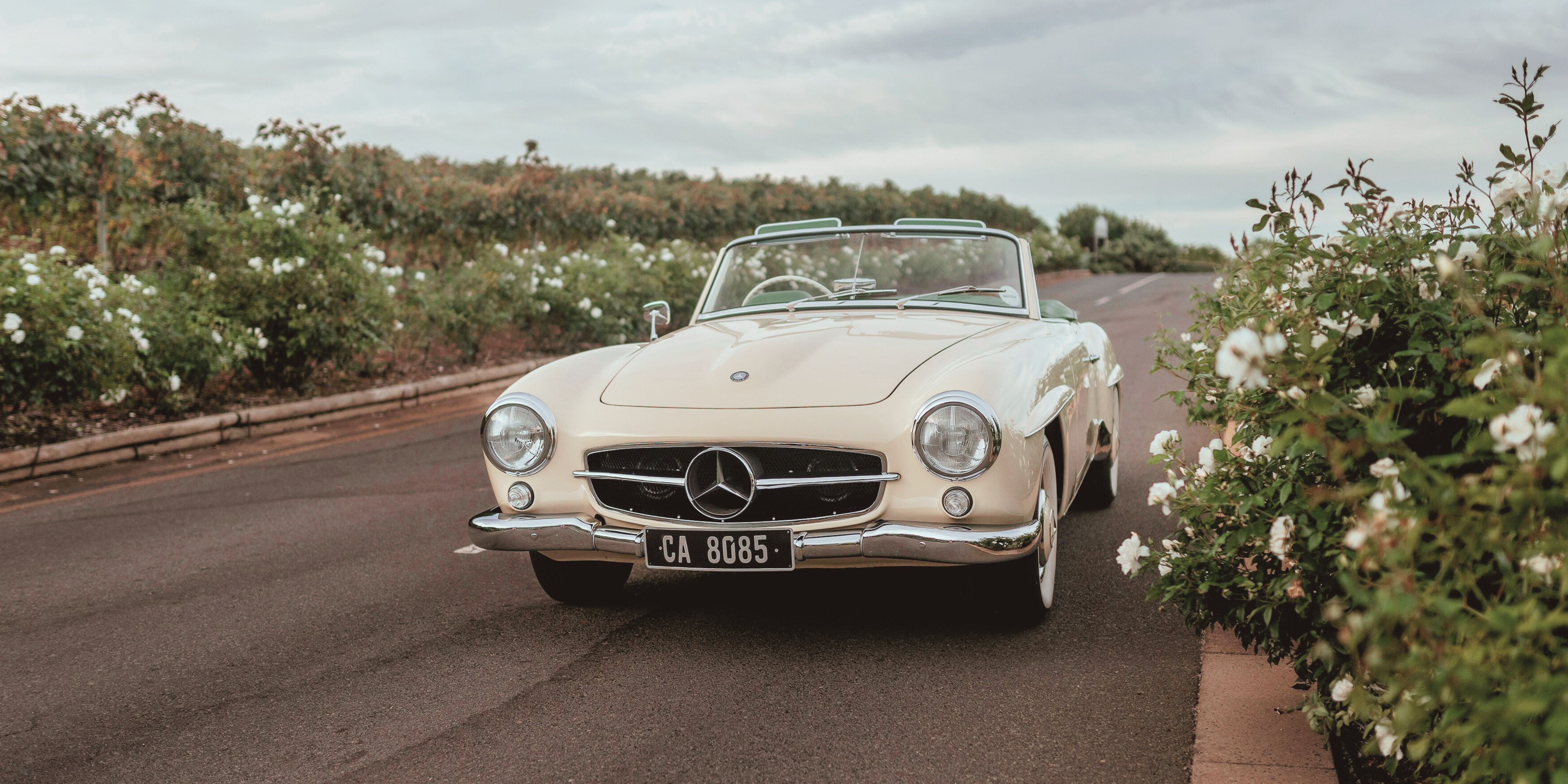 190 SL image 3