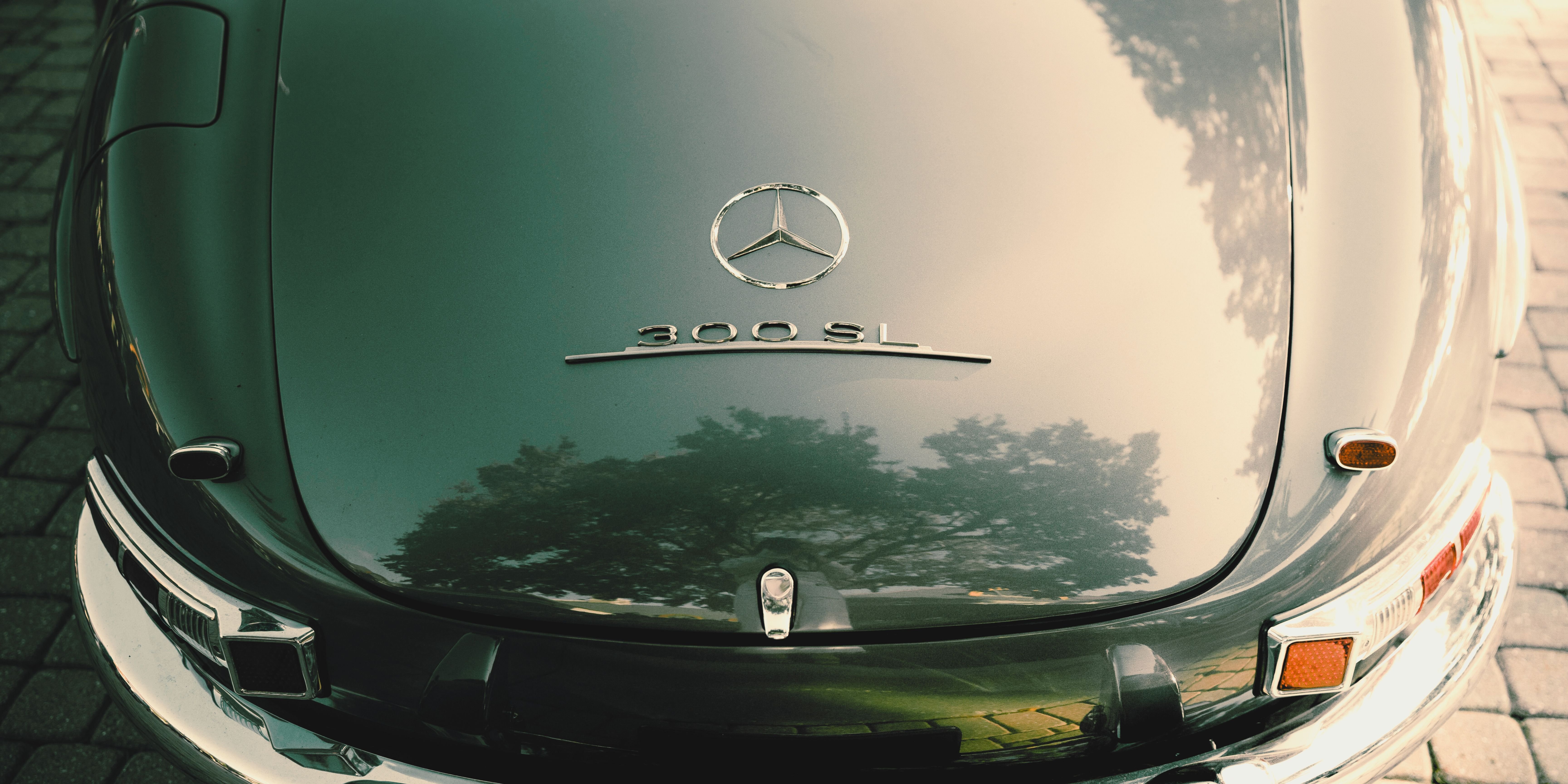 300 SL image 1